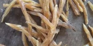 Asparagus Racemosus Extract