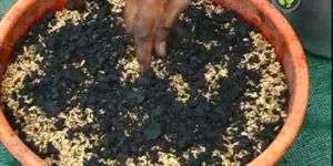 Bio Fertilizers