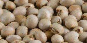 Pigeon Peas