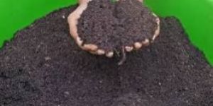 Animal Based Organic Manure