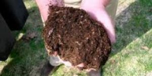 Enriched Organic Manure