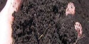Pure Organic Manure