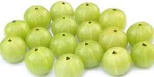 Fresh Gooseberry