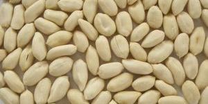 Blanched Groundnut Kernels
