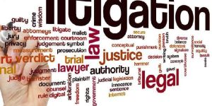 Litigation Services