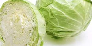 Organic Cabbage