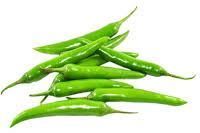 Organic Green Chilli