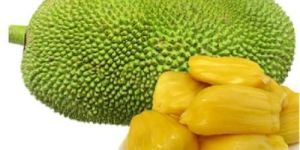 Organic Jackfruit