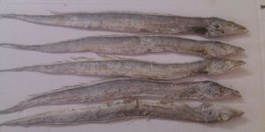 Dried Ribbon Fish