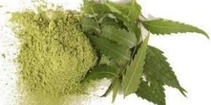 Organic Neem Leaf Powder