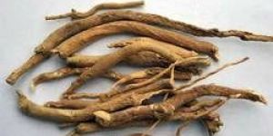 Withania Somnifera Extract