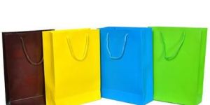 Colored Paper Bag