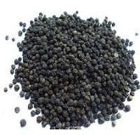 Black Pepper Seeds