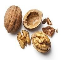 Dried Walnuts