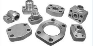 SAE Flanges