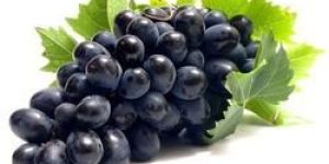 Fresh Black Grapes