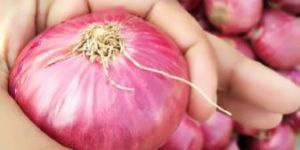 Red Onion