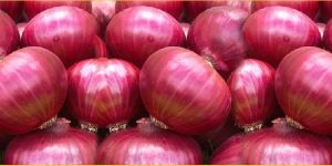 Fresh Red Onion