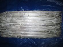 Ribbonfish