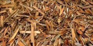 Broken Cinnamon Sticks