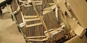 China Cinnamon Sticks