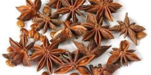 Natural Star Anise Seeds