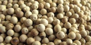 Natural White Pepper Seeds