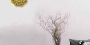 Ceramic Plates Wall Hanging Plate