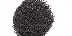 Black Mustard Seeds