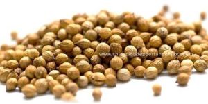Coriander Seed