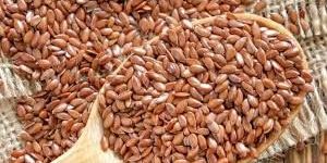 Flax Seeds