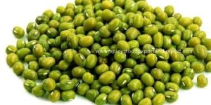 Green Moong Dal