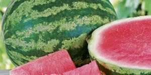 Fresh Watermelon