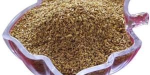 Ajwain Powder