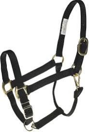 Black Horse Halter