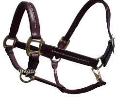 Fancy Horse Halter