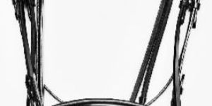 Leather Bridles