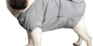 Winter Warm Hoodies Cotton Jacket for Dog Puppies