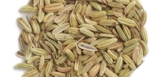 Natural Fennel Seeds