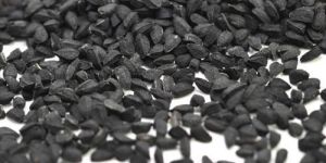 Nigella Sativa Seeds