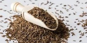 Organic Cumin Seeds