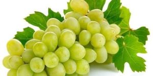 Fresh Grapes (SONAKA, SHARAD, THOMPSON)