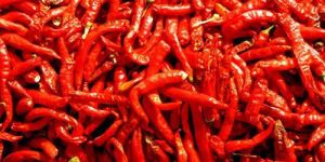 Organic Red Chilli