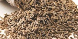 Dried Cumin Seeds