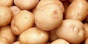 Fresh Organic Potato