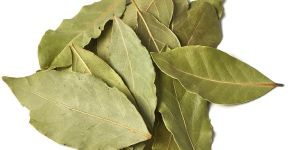 Indian Bay Leaf