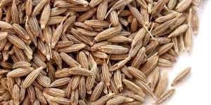 Indian Cumin Seeds