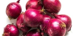 Indian Red Onion