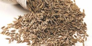 Whole Cumin Seeds