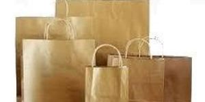 Disposable Paper Bag